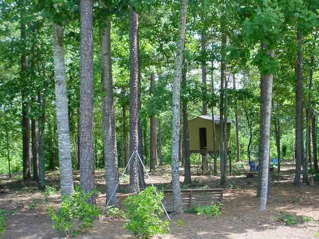 31 Tugalo Hts, Toccoa, GA 30577 photo 13