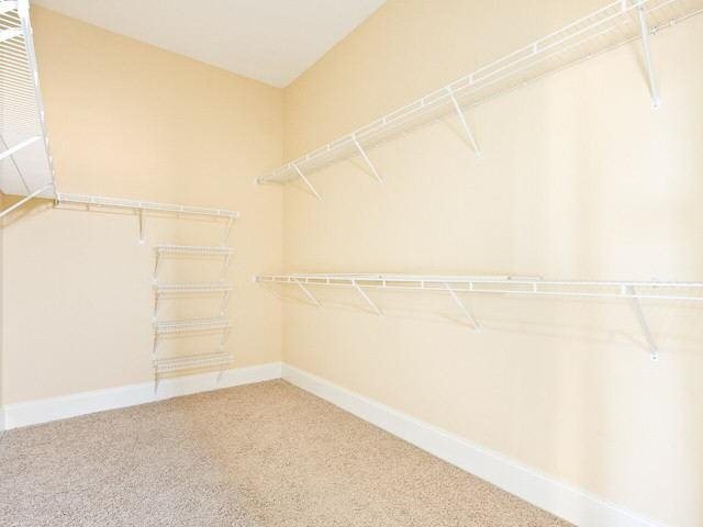 3388 Alhambra Cir, Hampton, GA 30228 photo 15