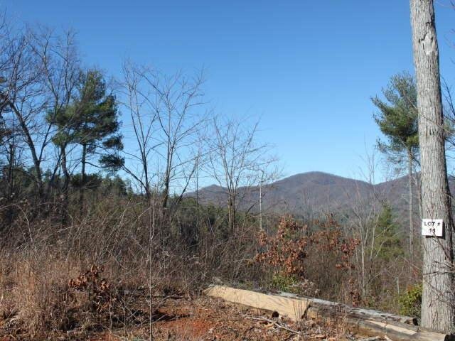 605 Top Horseshoe Rdg, Murphy, NC 28906 photo 13