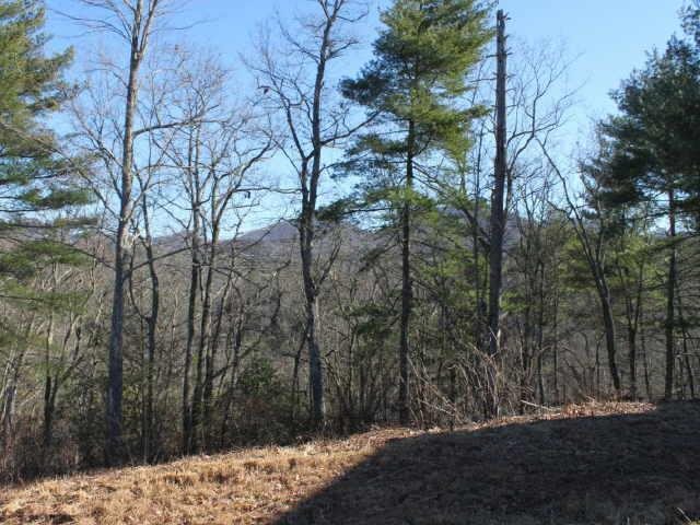 605 Top Horseshoe Rdg, Murphy, NC 28906 photo 14