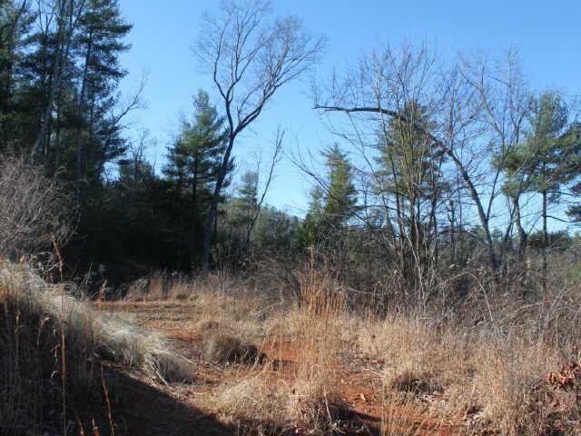605 Top Horseshoe Rdg, Murphy, NC 28906 photo 12