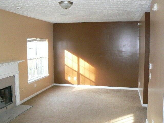 1605 Amelia Ct, Hampton, GA 30228 photo 8