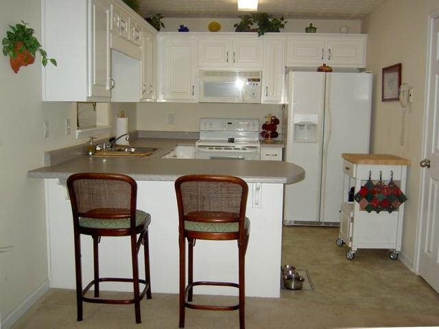 156 Dodgen Pl, Hampton, GA 30228 photo 4