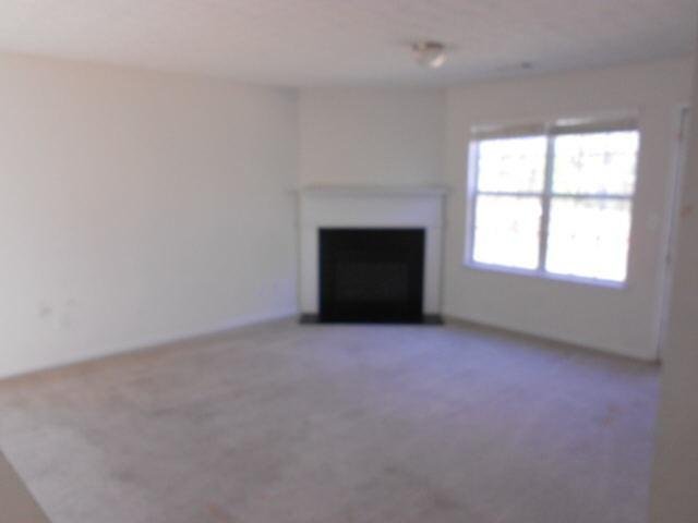 335 Timberlake Ter, Covington, GA 30016 photo 7