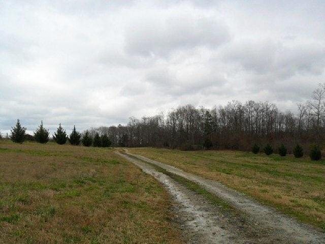 790 Mountain View Rd, Toccoa, GA 30577 photo 9
