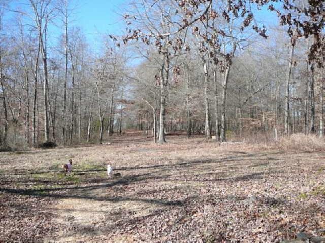 790 Mountain View Rd, Toccoa, GA 30577 photo 6
