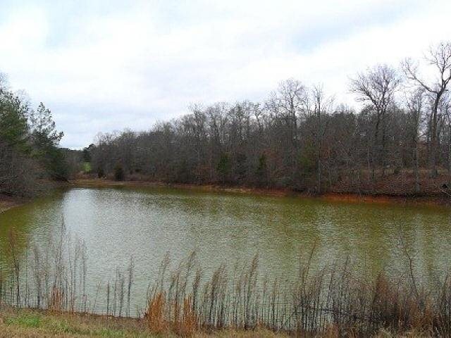 790 Mountain View Rd, Toccoa, GA 30577 photo 10