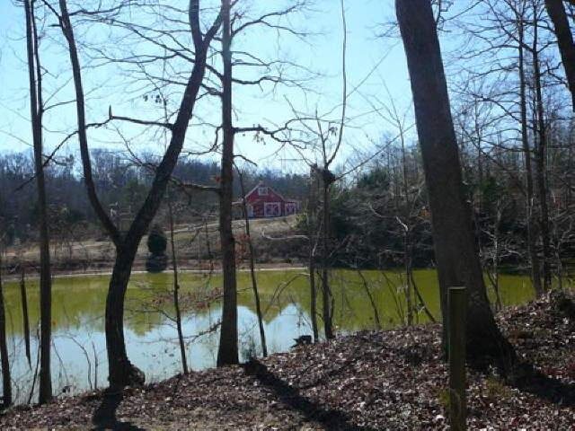 790 Mountain View Rd, Toccoa, GA 30577 photo 5