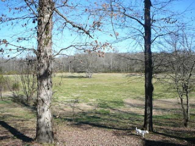 790 Mountain View Rd, Toccoa, GA 30577 photo 7
