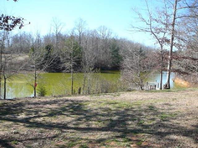 790 Mountain View Rd, Toccoa, GA 30577 photo 4