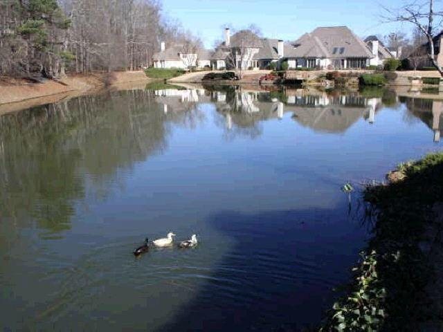 5860 Hershinger Close, Duluth, GA 30097 photo 12