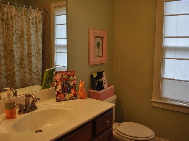 8562 Belton Bridge Rd, Lula, GA 30554 photo 10