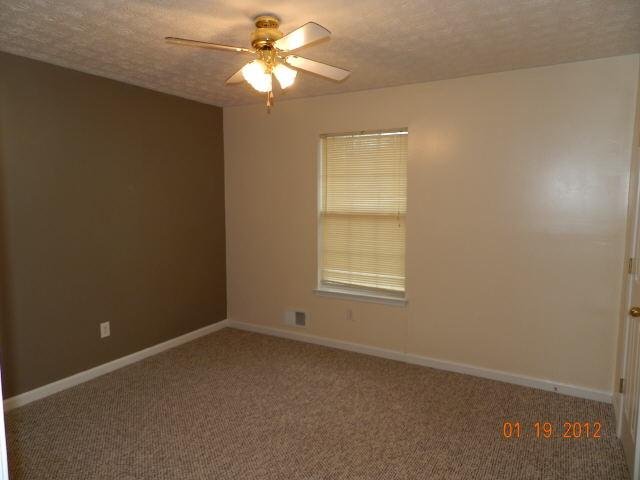 202 River Trace Ct, Mcdonough, GA 30253 photo 9