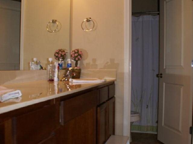 3010 Hampton Bay Cv, Buford, GA 30519 photo 11