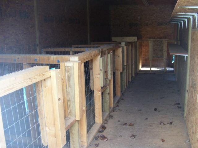1372 Pine Valley Farm Rd, Comer, GA 30629 photo 3