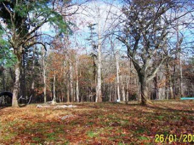1234 Robertson Loop Rd, Clarkesville, GA 30523 photo 9