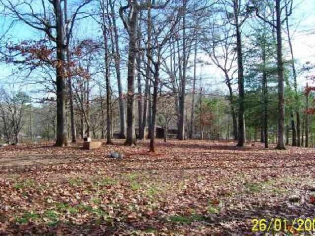 1234 Robertson Loop Rd, Clarkesville, GA 30523 photo 6