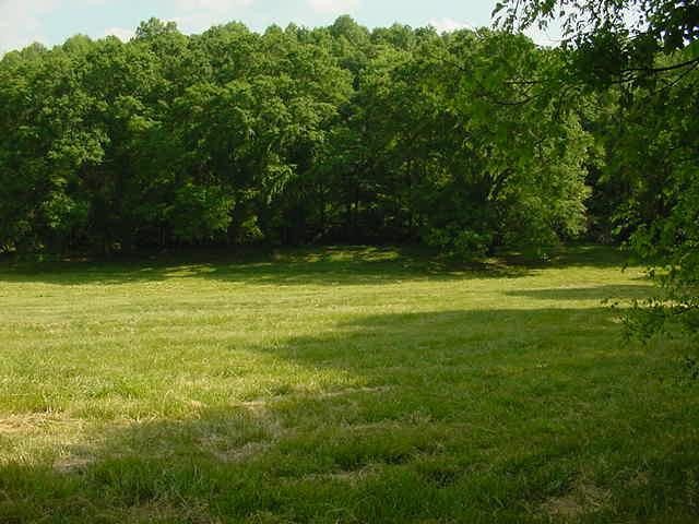 3600 Harrison Bridge Rd, Carnesville, GA 30521 photo 1