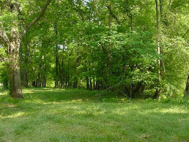 3600 Harrison Bridge Rd, Carnesville, GA 30521 photo 3