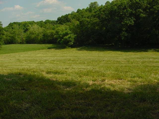 3600 Harrison Bridge Rd, Carnesville, GA 30521 photo 2