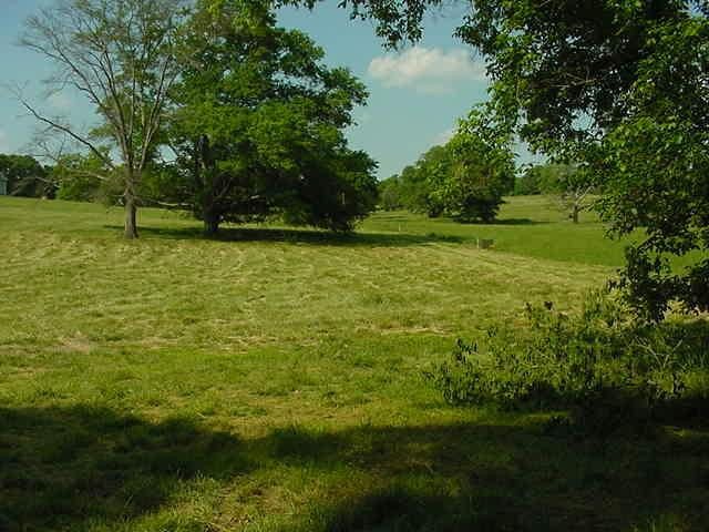 3600 Harrison Bridge Rd, Carnesville, GA 30521 photo 5