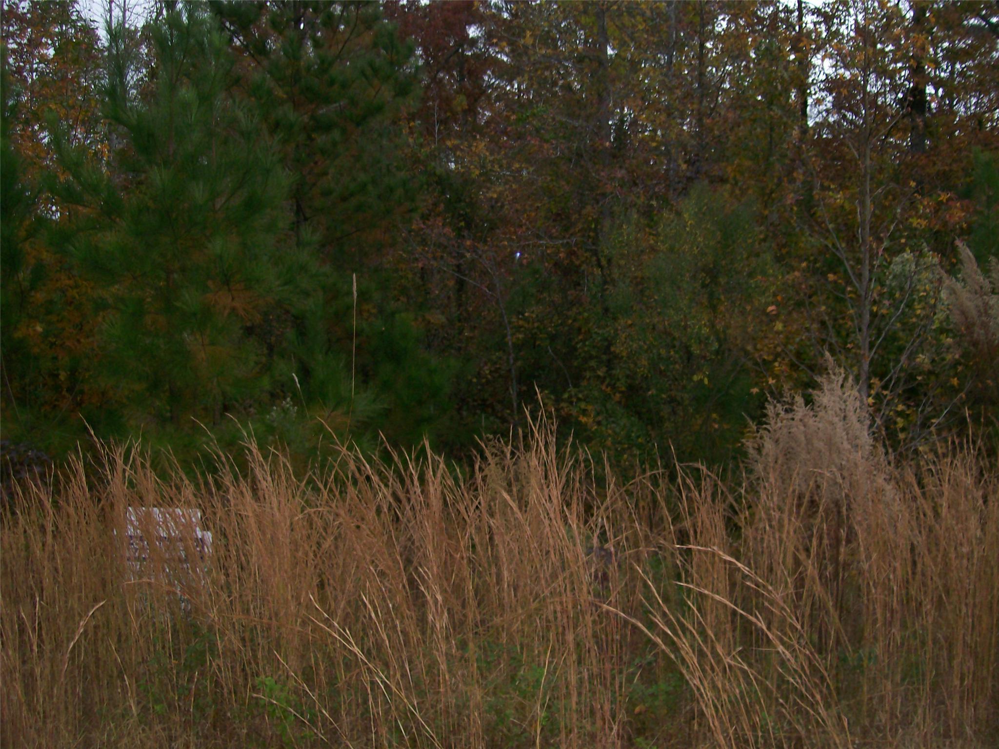 306 Old Oak Dr, Forsyth, GA 31029 photo 1