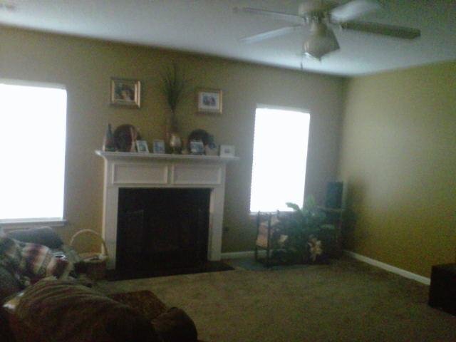 424 Browning Field Way, Hampton, GA 30228 photo 4
