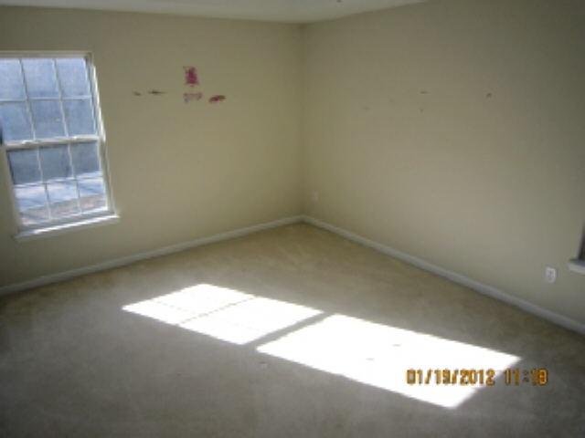 1101 Oak Hollow Ln, Hampton, GA 30228 photo 6