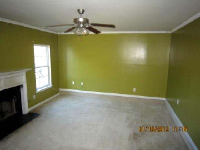 1101 Oak Hollow Ln, Hampton, GA 30228 photo 4