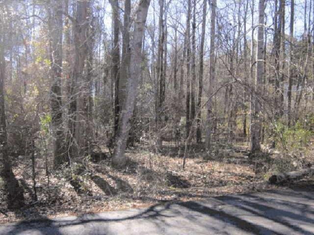 116 View Pointe Dr, Lagrange, GA 30241 photo 4