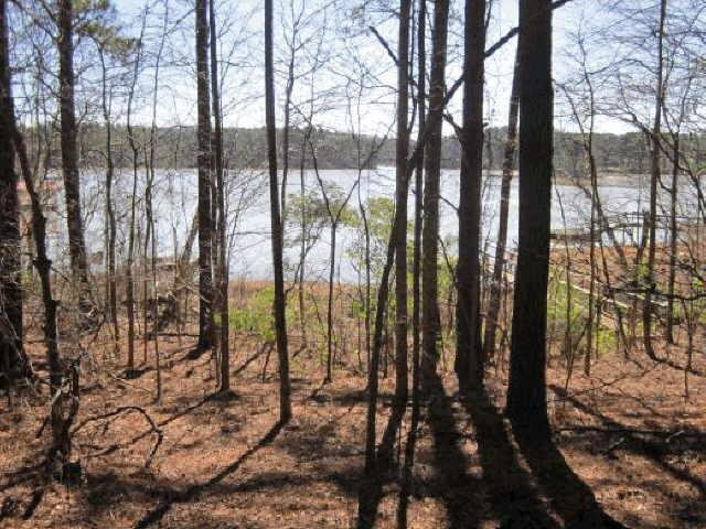 116 View Pointe Dr, Lagrange, GA 30241 photo 3