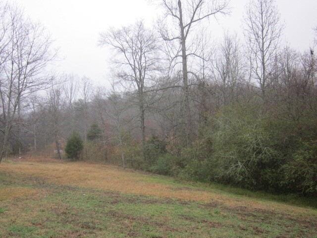 4665 E Hall Rd, Gainesville, GA 30507 photo 14
