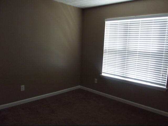 3125 Amber Pt, Monroe, GA 30655 photo 12