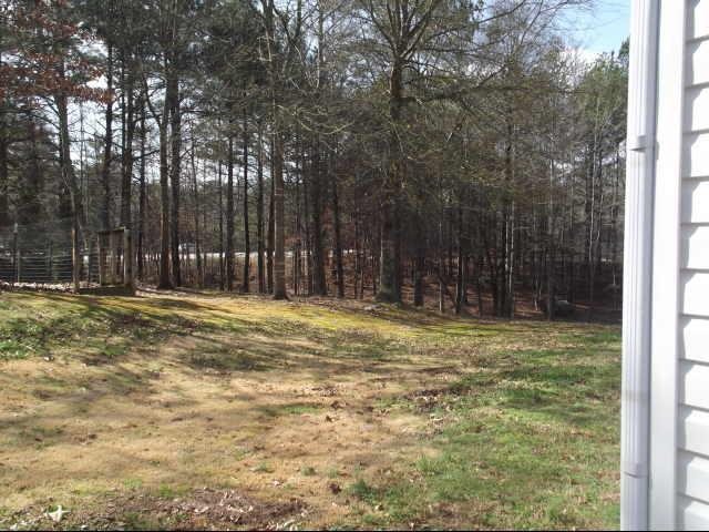 3125 Amber Pt, Monroe, GA 30655 photo 16