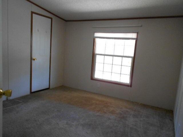 839 Old Mize Rd, Toccoa, GA 30577 photo 6