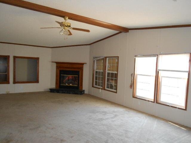 839 Old Mize Rd, Toccoa, GA 30577 photo 3
