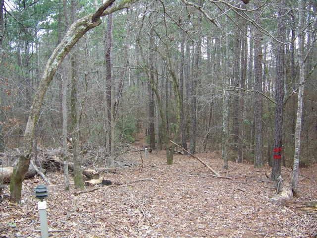 83 Riverbend Dr, Lagrange, GA 30240 photo 10