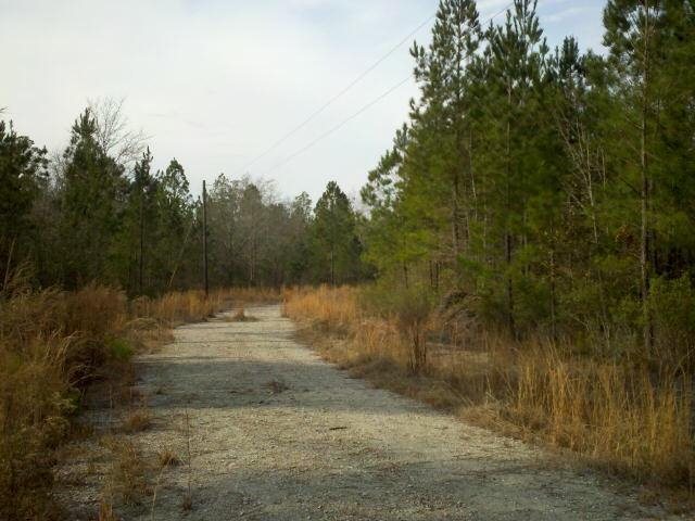 1351 Shawnee Egypt Rd, Springfield, GA 31329 photo 3