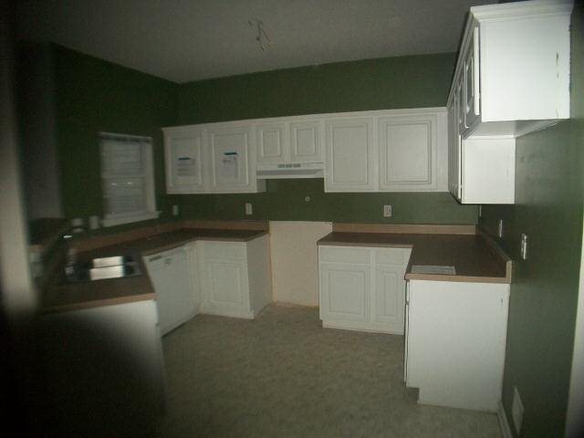 2401 Brianna Dr, Hampton, GA 30228 photo 5