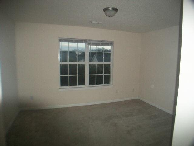 2401 Brianna Dr, Hampton, GA 30228 photo 13