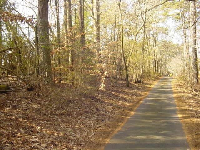 3157 Bailey Rd, Dacula, GA 30019 photo 11