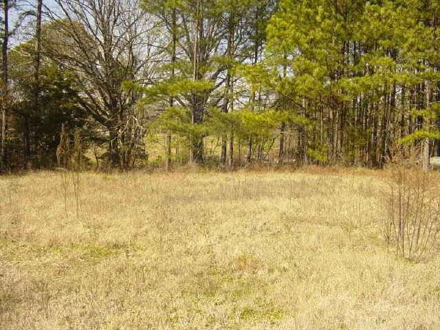3157 Bailey Rd, Dacula, GA 30019 photo 15