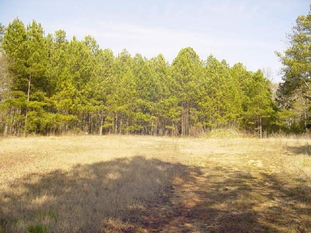 3157 Bailey Rd, Dacula, GA 30019 photo 13