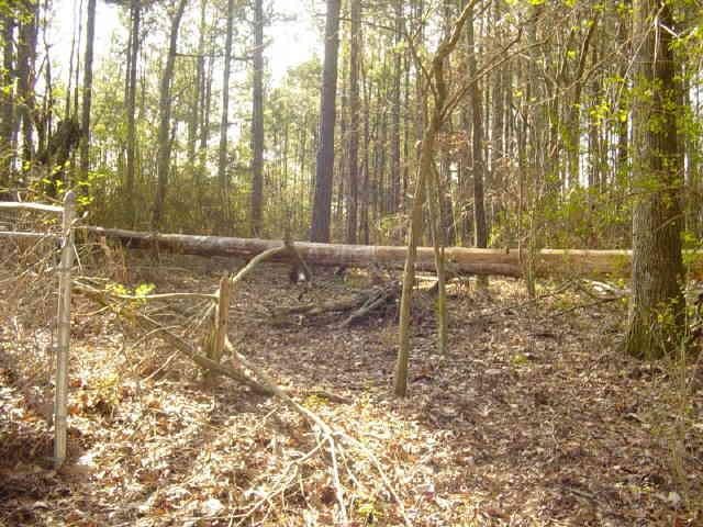 3157 Bailey Rd, Dacula, GA 30019 photo 12