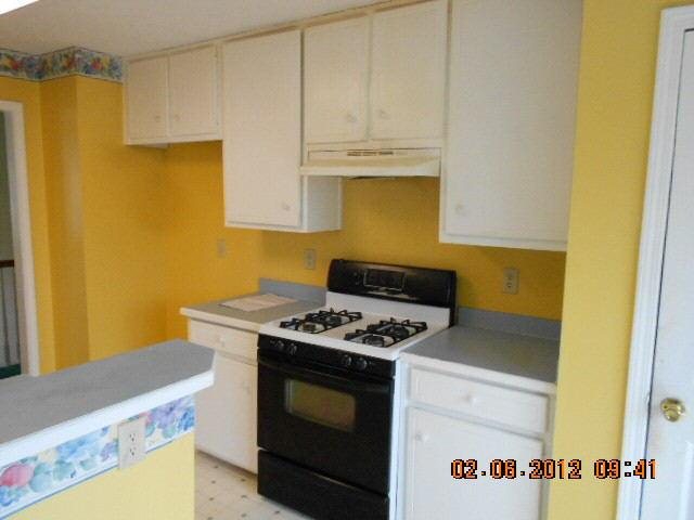1434 Starling Ct, Hampton, GA 30228 photo 10