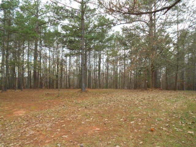 610 Etheridge Mill Rd, Milner, GA 30257 photo 4