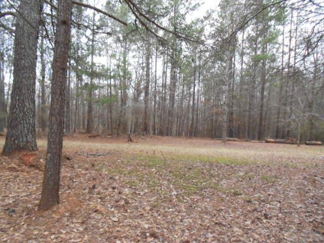 610 Etheridge Mill Rd, Milner, GA 30257 photo 13