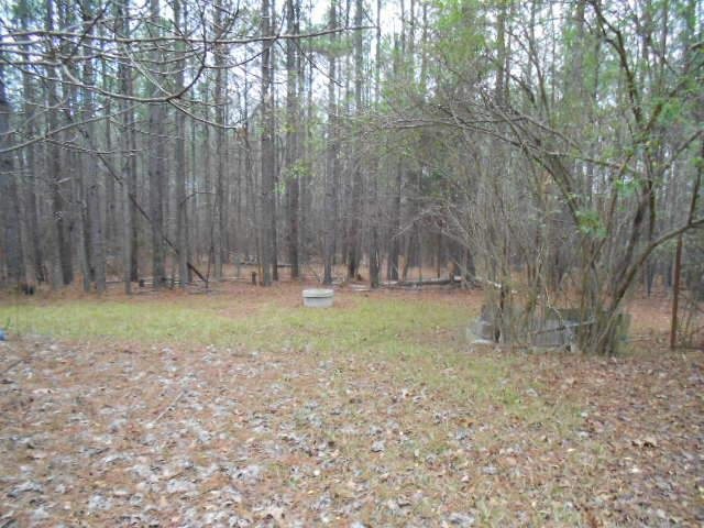 610 Etheridge Mill Rd, Milner, GA 30257 photo 15