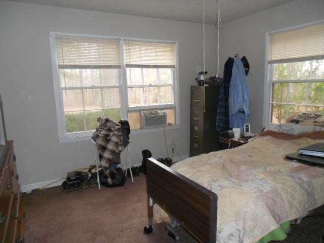 610 Etheridge Mill Rd, Milner, GA 30257 photo 11
