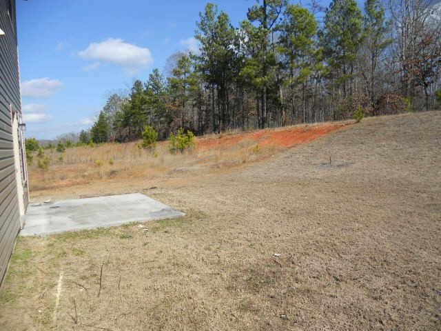 120 Silver Willow Walk, Covington, GA 30016 photo 3